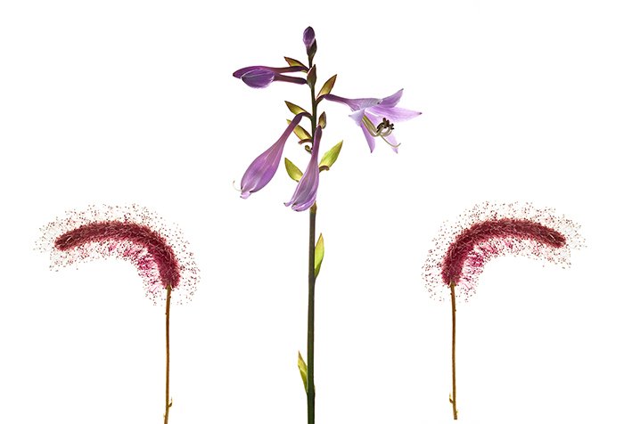 Triptych
